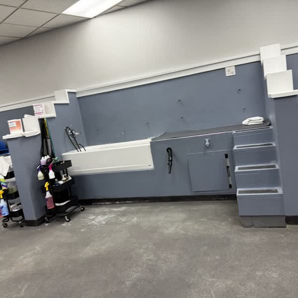 The wash room with raised white tubs, walk-up steps and supply carts
